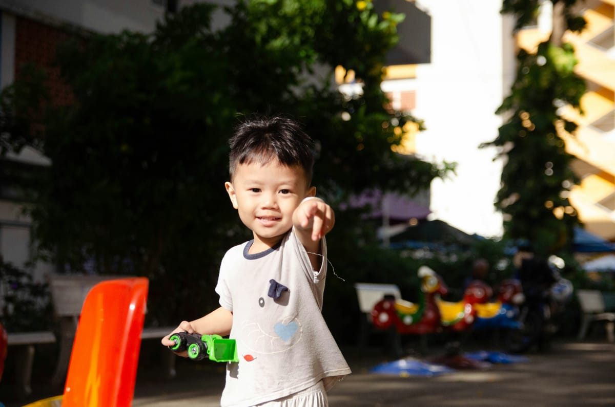 Social-Emotional Learning in Early Childhood: A Comparative Review of Practices Singapore and Western Educational Systems